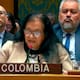 Ningún Estado tiene el derecho de atacar a otro para un cambio de régimen: Colombia en Consejo de Seguridad ONU
