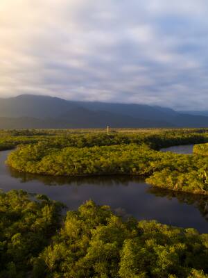 Defender el Amazonas| Columna de Simón Gaviria
