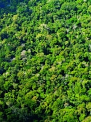 Un Llamado de la Amazonía al Caribe | Columna de Isidoro Hazbun