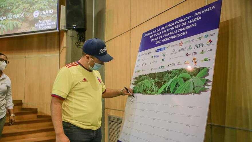 En Sucre impulsan el agronegocio de la yuca