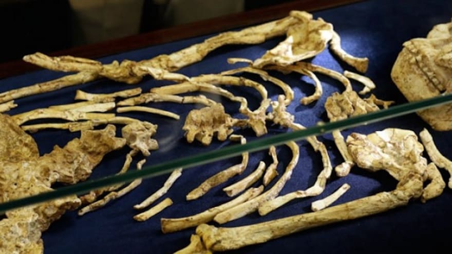 Extraen ADN de un esqueleto humano de hace 6.000 años en China