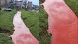 Vertimiento de pintura cambió el color de quebrada en Marinilla y desató operativo ambiental