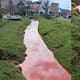 Vertimiento de pintura cambió el color de quebrada en Marinilla y desató operativo ambiental