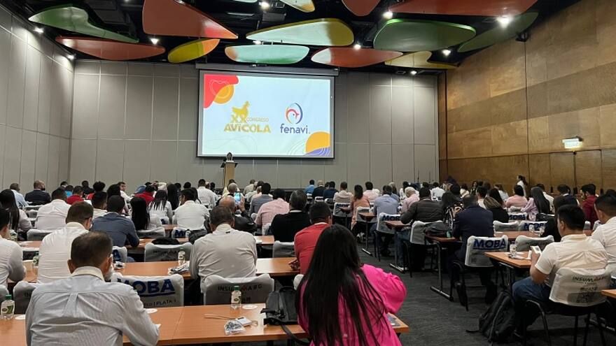 Atlántico es el cuarto productor nacional de pollo del país