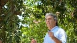 ‘Los votos no son de los dirigentes; estos son libres’: Sergio Fajardo envió mensaje a sus simpatizantes