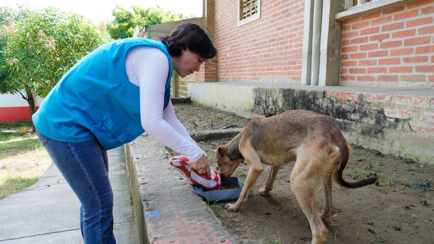 Gobernación del Atlántico lidera jornadas de atención animal para damnificados por ola invernal