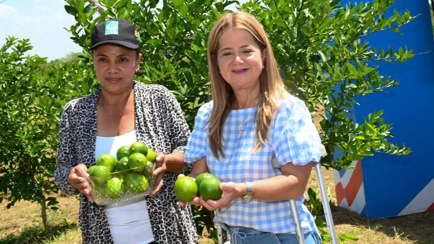 Proyecto agropecuario 'El Campo a Toda Marcha' llega a las 2.600 hectáreas en el sur del Atlántico