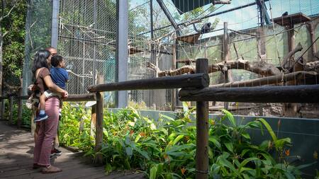 El traslado del Zoológico de Barranquilla, una deuda histórica con el bienestar animal