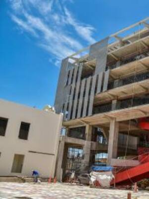 Están pasando cosas | Columna de Daniela Cepeda Tarud