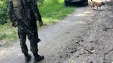Seis capturados y 70 bienes intervenidos por operaciones de testaferrato para el ELN en varios departamentos del país