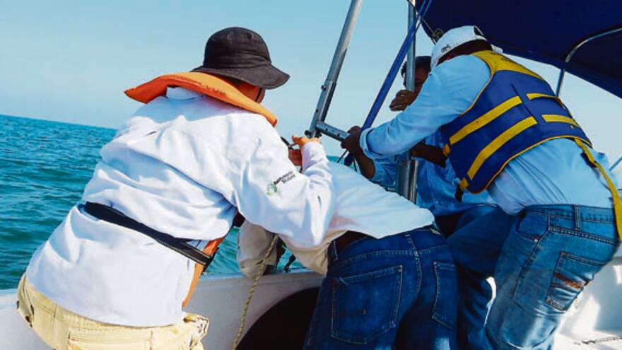 Estudio arqueológico en Puerto cierra el mes del Patrimonio Sumergido