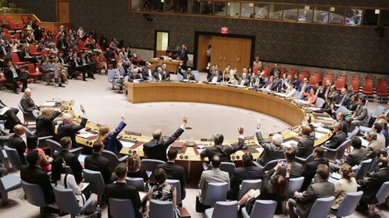 Estamos preocupados por la violencia, cultivo y tráfico de drogas en Colombia: Estados Unidos ante el Consejo de Seguridad de la ONU