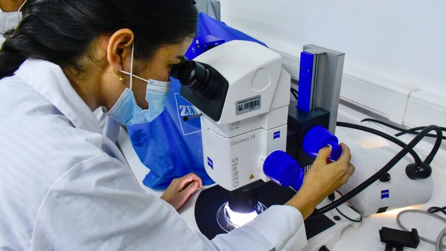 Detectan bacteria no reportada en el Atlántico