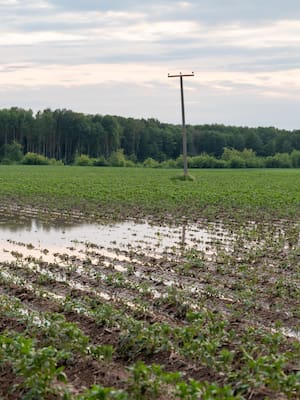 De lluvia en lluvia…, de desastre en desastre