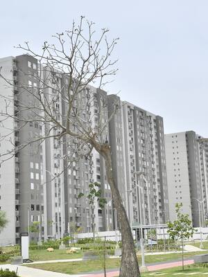 Hasta cuándo Barranquilla va a postergar lo ambiental | Columna de Horacio Brieva