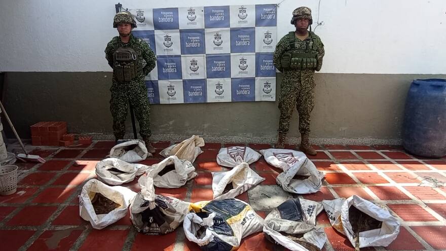 Cesar: Armada Nacional recuperó más de 100 babillas que iban a ser vendidas