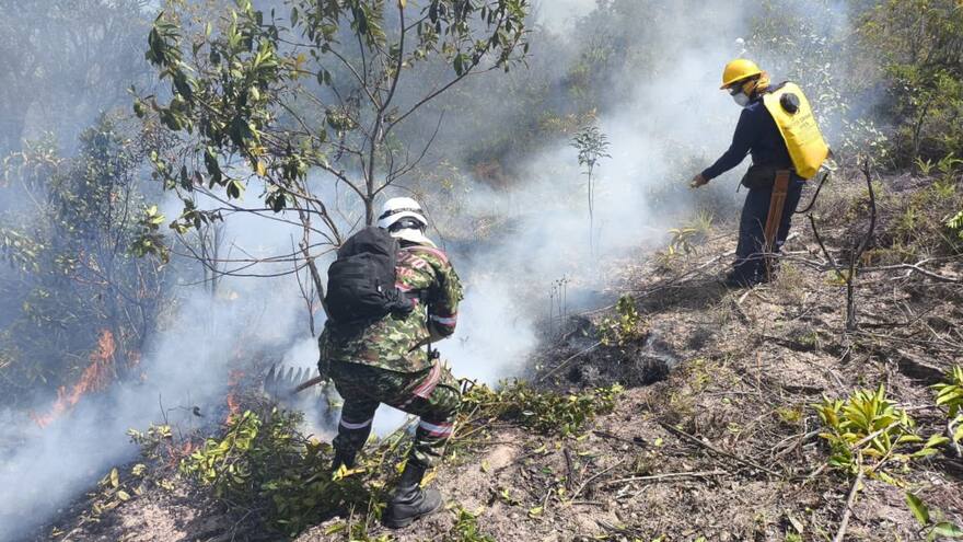 Un incendio consume más 250 hectáreas de bosques en Alpujarra, Tolima