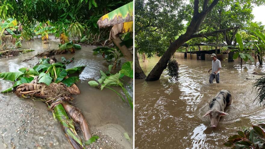 Parceleros que habitan a orillas del río Guatapurí piden ayuda