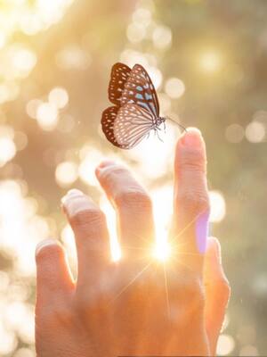 La magia  de renacer | Columna de Ismael Cala