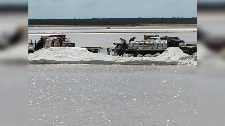 Sindicato de Salinas pide modificar estatutos para salvavidas financiero