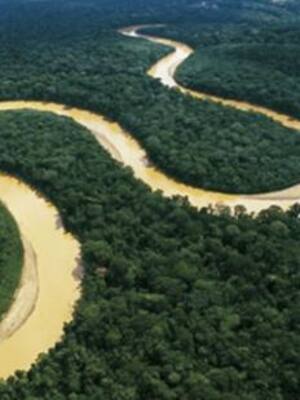 Poca sinceridad | Columna de Fernando Giraldo