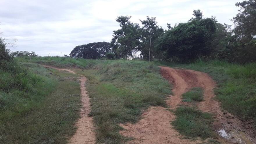 Campesino murió por mordedura de serpiente en Montería