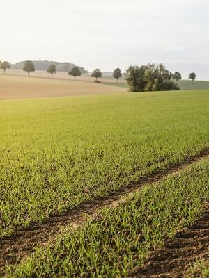 Tierras: las complejidades del cómo en el Acuerdo | Columna de José Félix Lafaurie
