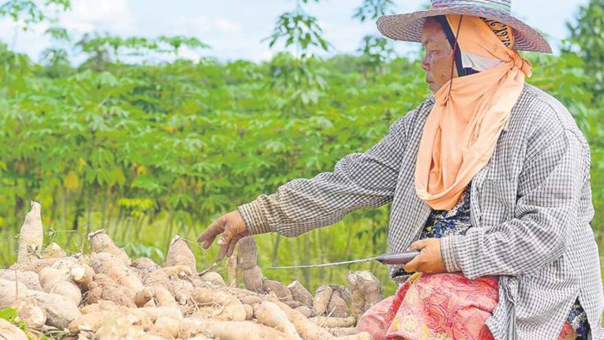Los retos y desafíos para lograr una agricultura más sostenible en la Región Caribe