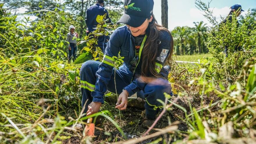Ecopetrol está entre las cinco mejores empresas del mundo en sostenibilidad