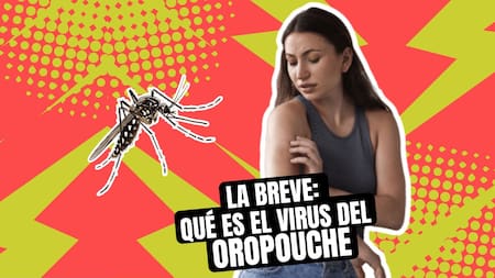 La Breve: qué es el virus del Oropouche