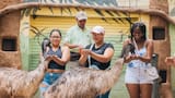 Zoológico de Barranquilla celebrará el Día de la Niñez con ‘Zooland’, un mundo de juegos y aprendizaje