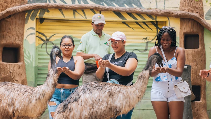 Zoológico de Barranquilla celebrará el Día de la Niñez con ‘Zooland’, un mundo de juegos y aprendizaje