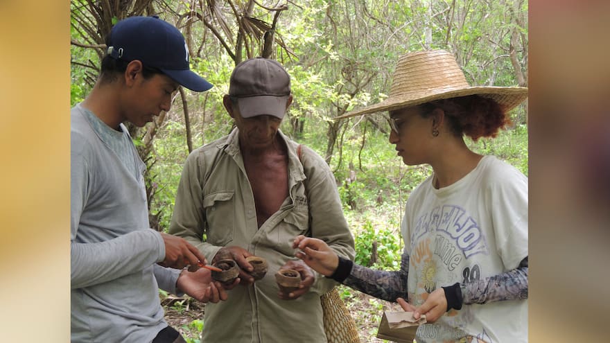 Acciones para restaurar el bosque seco tropical en Colombia