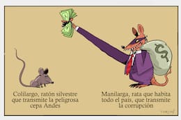 El mundo de Turcios