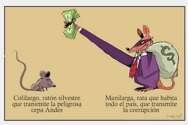 El mundo de Turcios