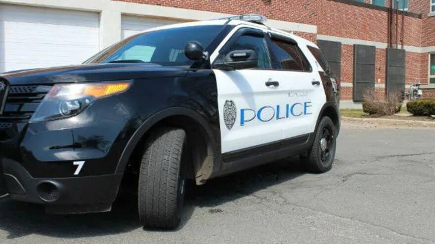 Conductor borracho puso a su perro de piloto para evitar multa