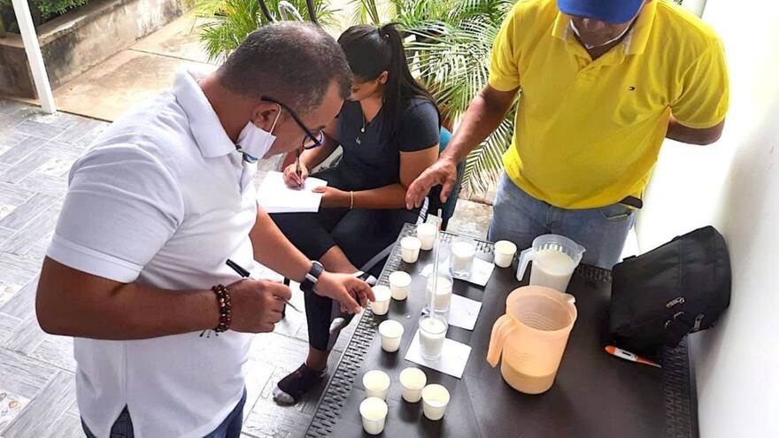 Leche de cabra: una oportunidad de mejora en la calidad de vida de los wayuu