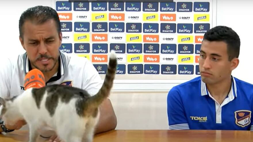 Orsomarso fue goleado por los Leones y un gato desvió la crítica