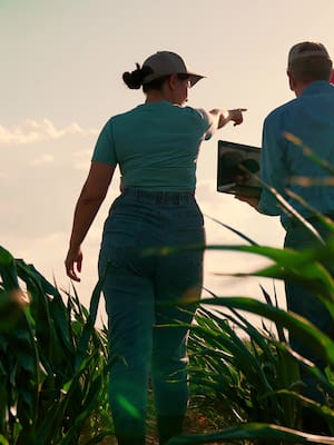 Los subsidios agrícolas