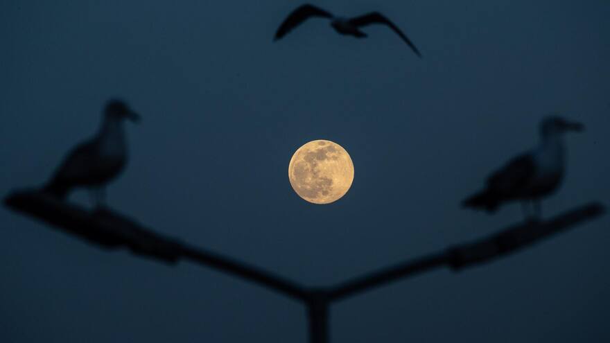 Conozca a qué hora ver la superluna ‘rosa’ este lunes
