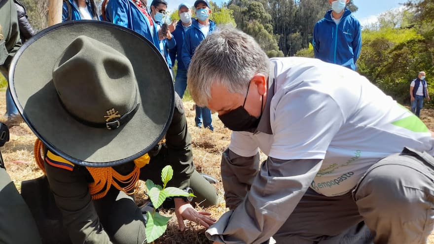 Más de 7,2 millones de árboles se sembraron en Colombia
