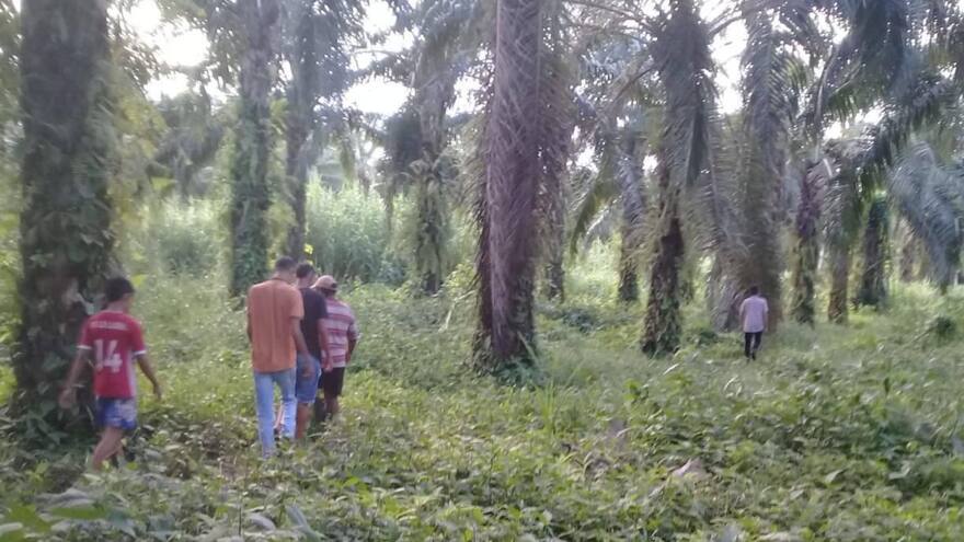 Hallan extremidades de menor que fue desmembrada en Algarrobo, Magdalena