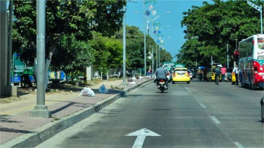 Barranquilla: denuncian presuntos envenenamientos de perros y gatos en Simón Bolívar