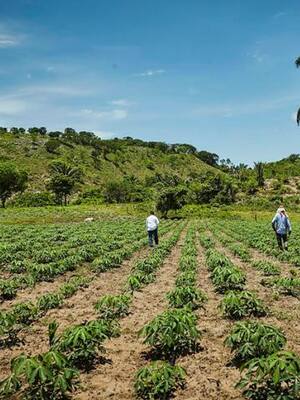 En el tiempo de Dios (II)