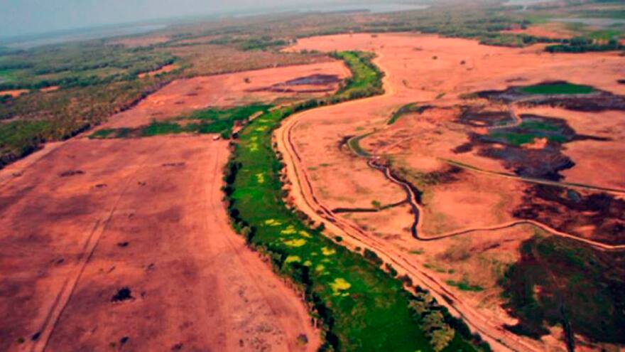 Frenar deforestación evitaría desaparición de ciénagas y manglares del Caribe: ICN