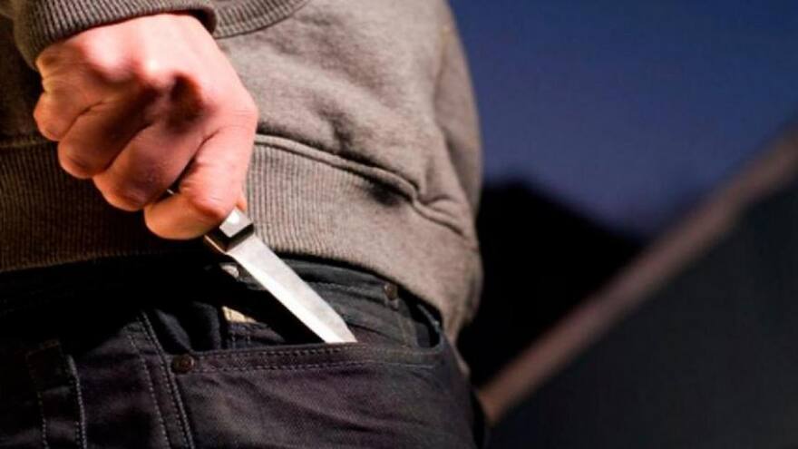 Francia: ataque con arma blanca en un parque dejó 4 niños gravemente heridos