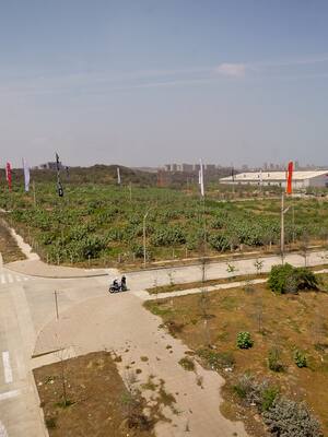 ¿Vivienda VIS? Sí, pero “NIMBY” | Columna de Ricardo Plata Cepeda