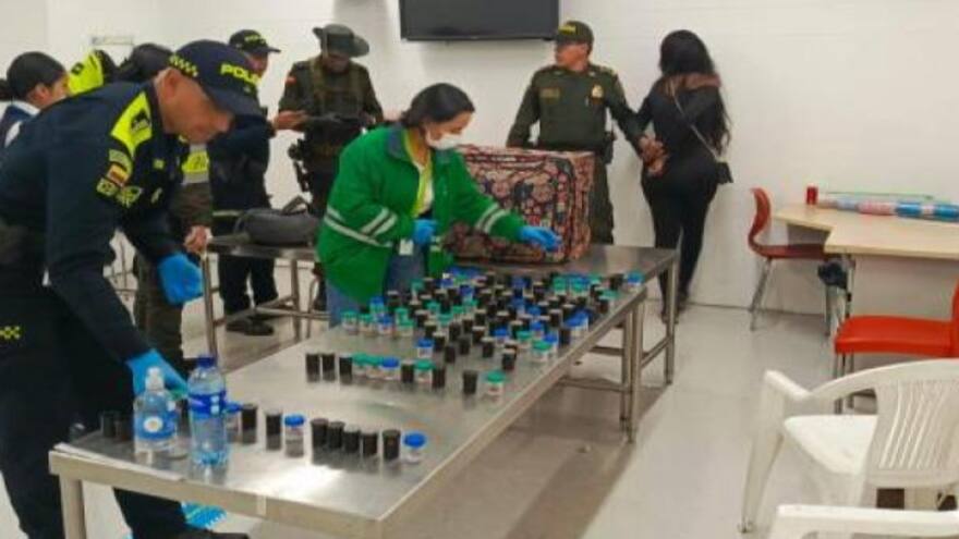 Extranjera intentaba sacar de Colombia 130 ranas en peligro de extinción