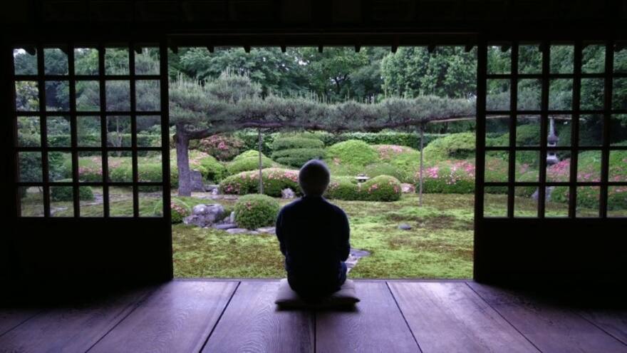 ¿Por qué en Japón están obsesionados con el musgo?