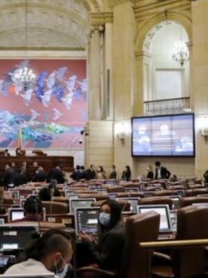 Cero garantías | Columna de Tatiana Dangond Aguancha